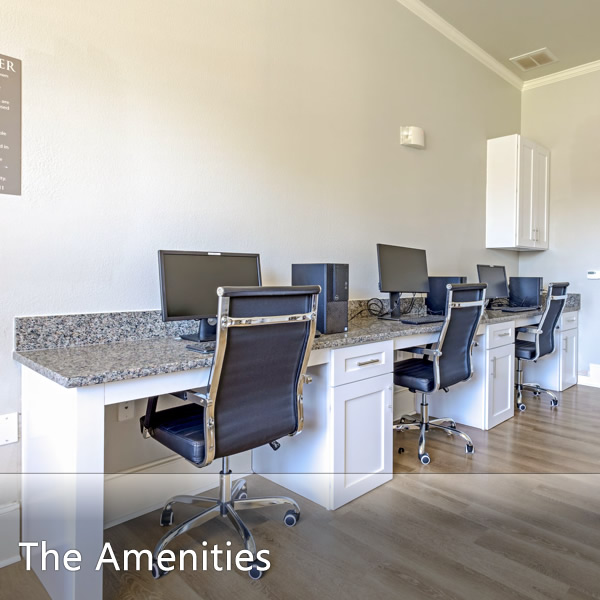 Features & Amenities